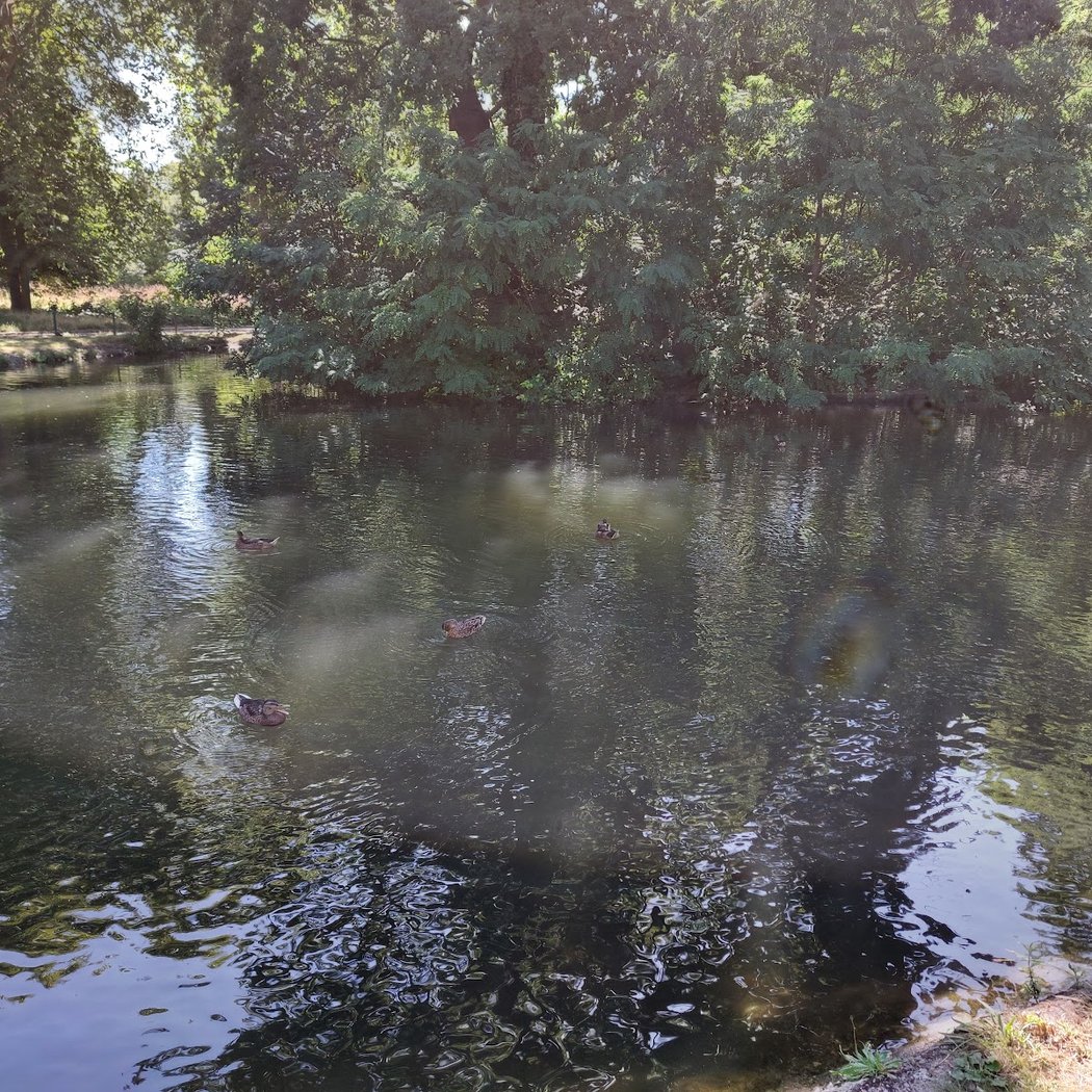 La Rivière des Chèvres 2